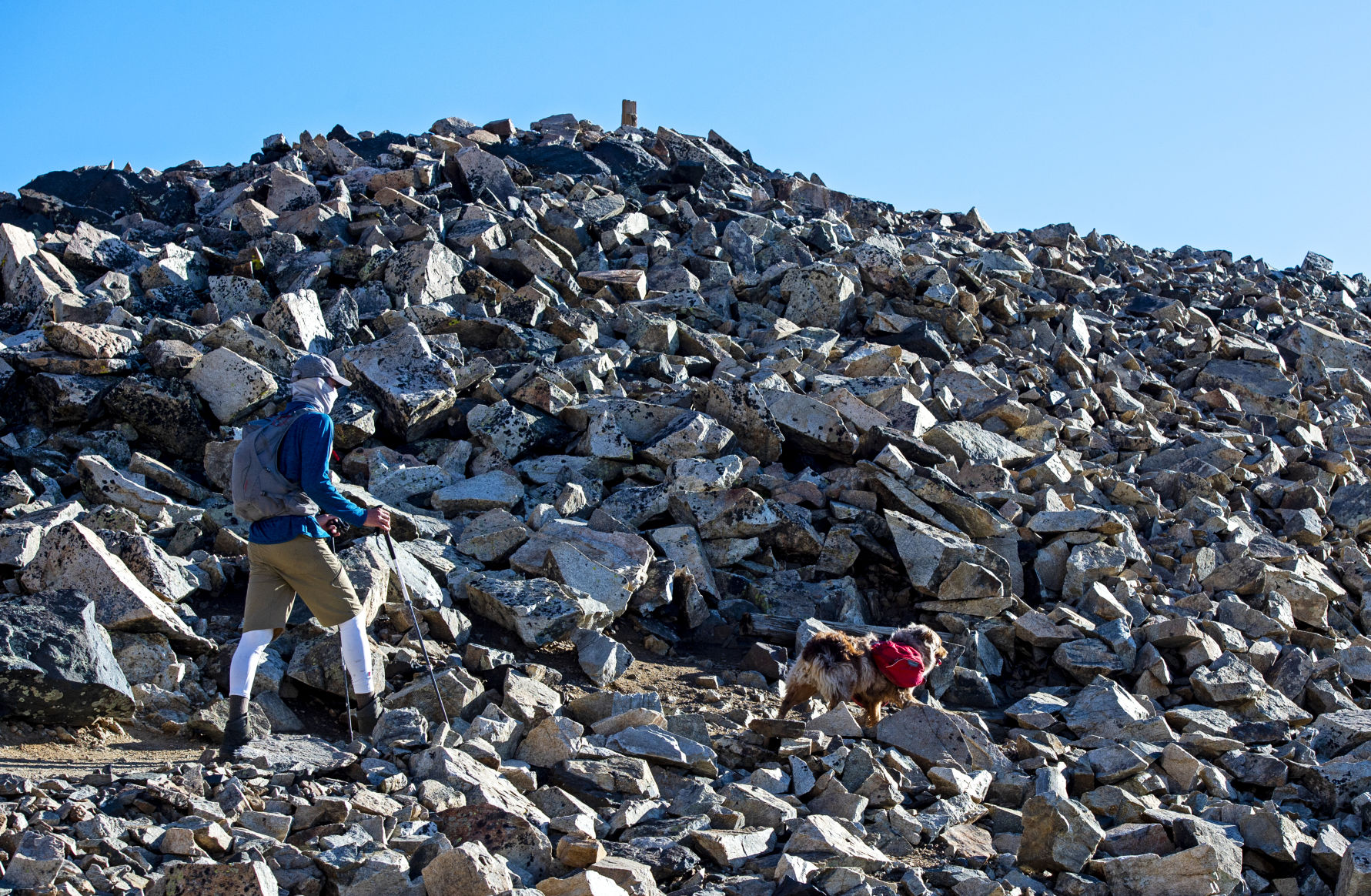 Mount Democrat 12 .JPG